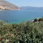 Ballas * أيّا إفيميا